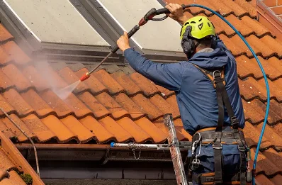 Démoussage et hydrofuge de toiture à Meillonnas